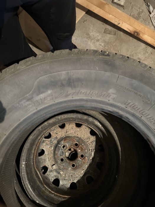 Шины разных видов