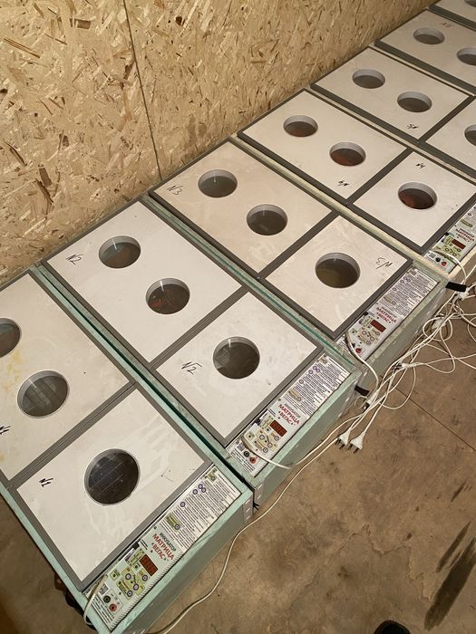 Инкубатор для яиц МАТРИЦА ВЕГАС