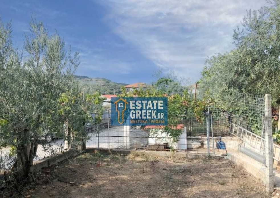 Продава се Двустаен апартамент в Пловдив, Филипово - 155 кв.м за 1936 €/кв.м - Снимка #3