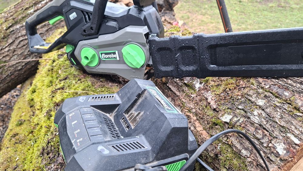 Drujba electrica cu acumulator Florabest