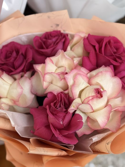 Гулдер кеше берген