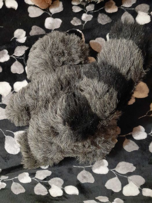 Плюшени играчки - без забележки!