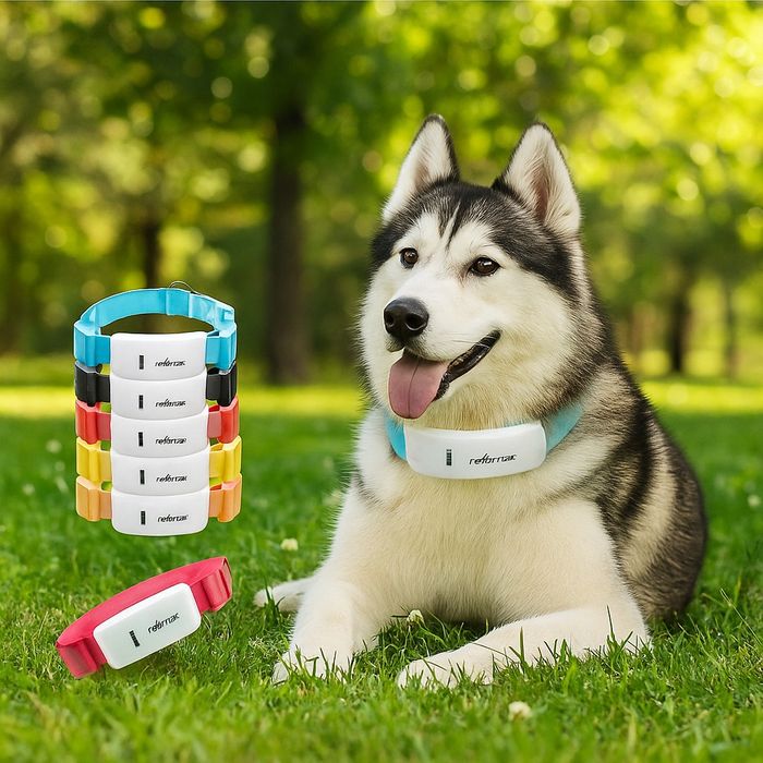 Тракер за домашен любимец - GPS локатор