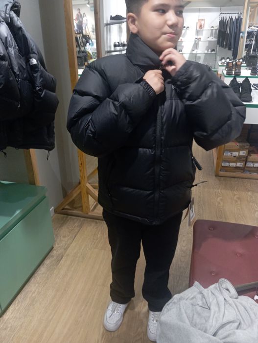 Куртка the north face