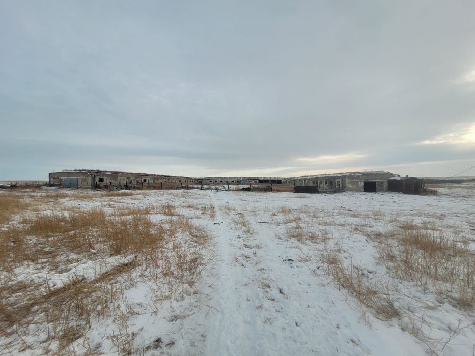 Крестьянское хозяйство