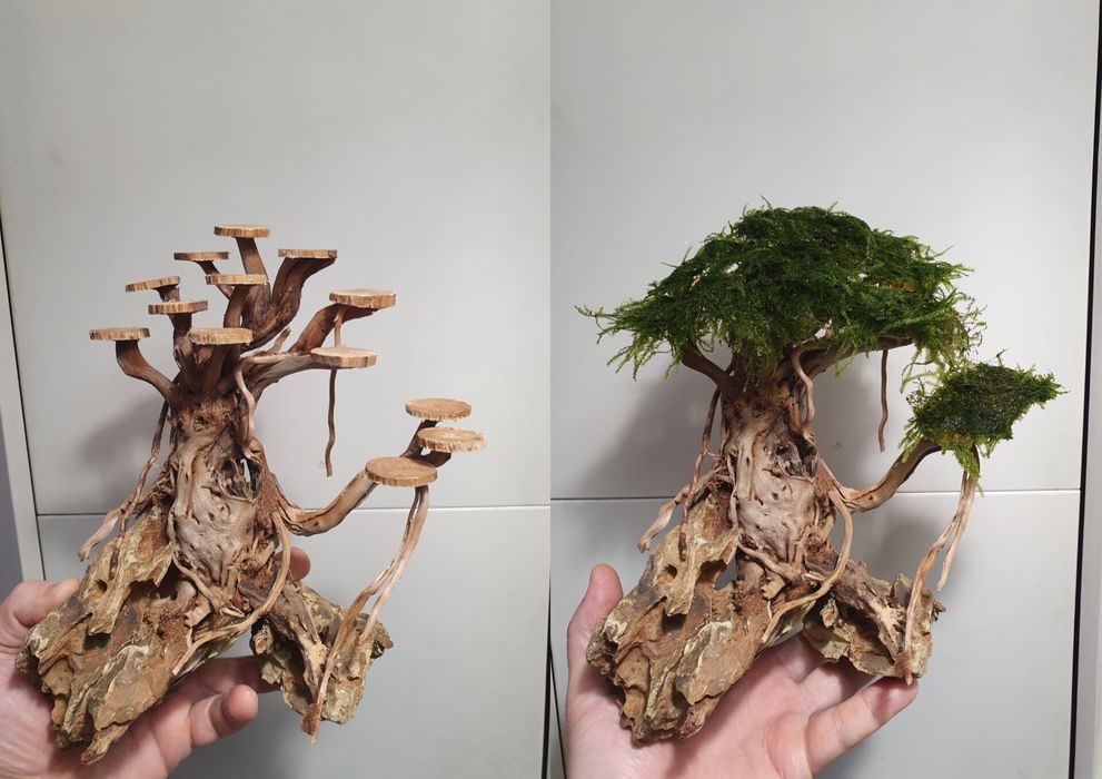 Аквариумный декор Бонсай