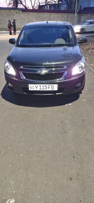 Coblt 2023 sastoyaniya