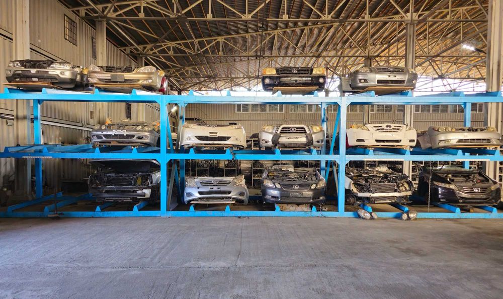 Ноускат мини морда