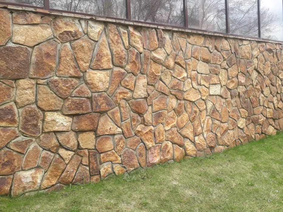 Плитняк разных видов