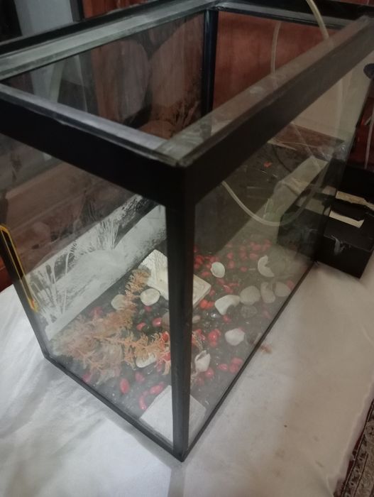 Продам аквариум без рыбок