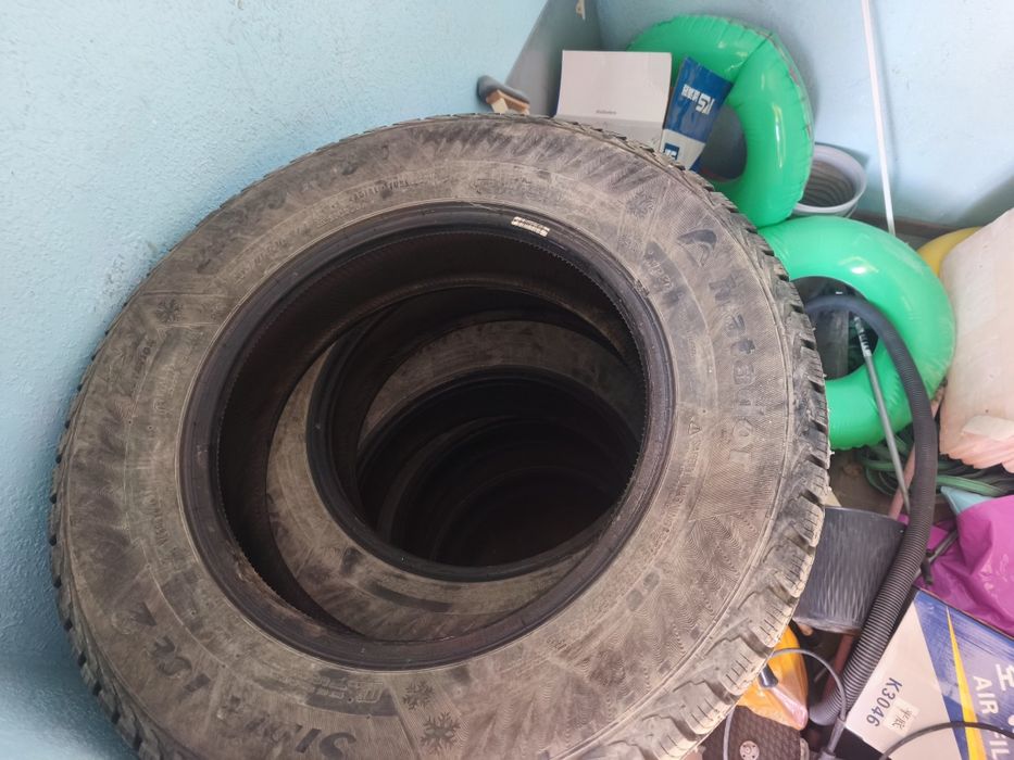 Балоны нива зимные