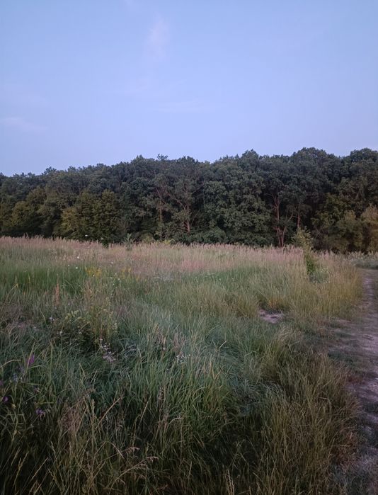 Vând teren intravilan în Nisipoasa, Prahova, lângă pădure