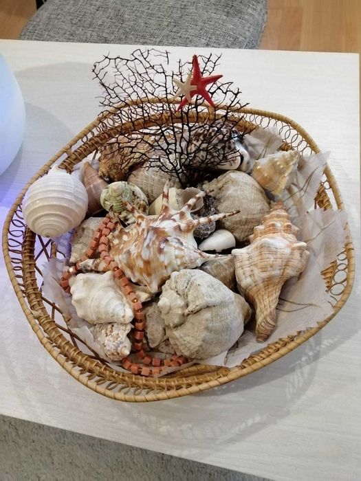 набор ракушек из Греции