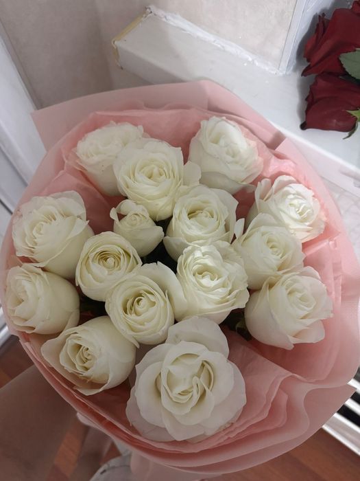 Цветы новый қазір келді