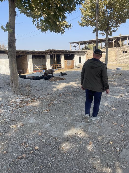 Продается не жилой помещение.