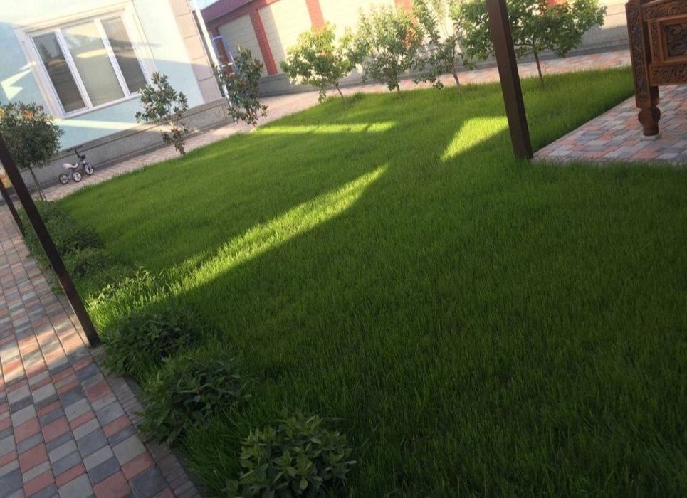 Газон ландшафтный дизайн поливная система