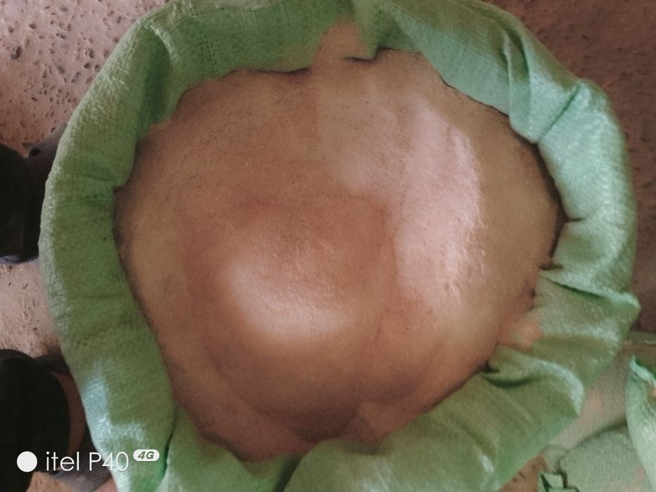 Kipak mayin unli 30 kg