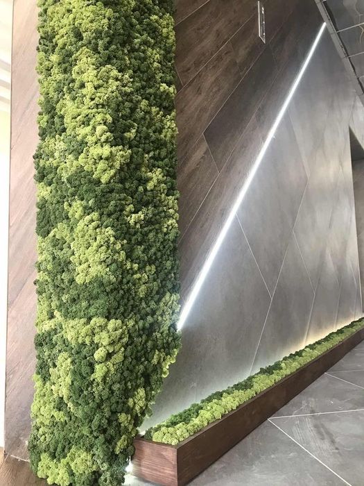 Озеленение интерьеров