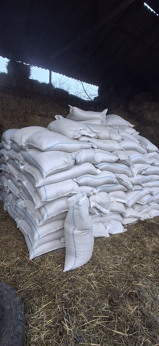 Vând tărățe de grâu