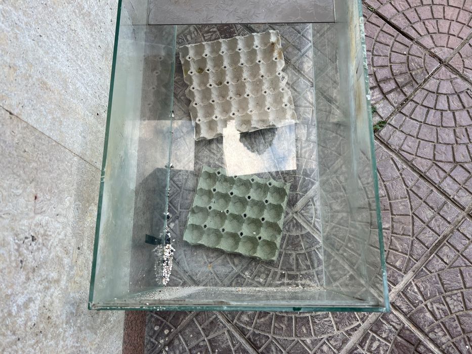 Аквариум 80/40/40