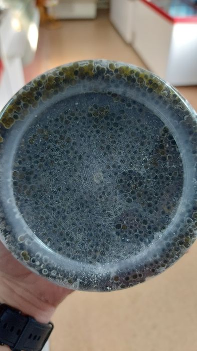 Продаю икру черную