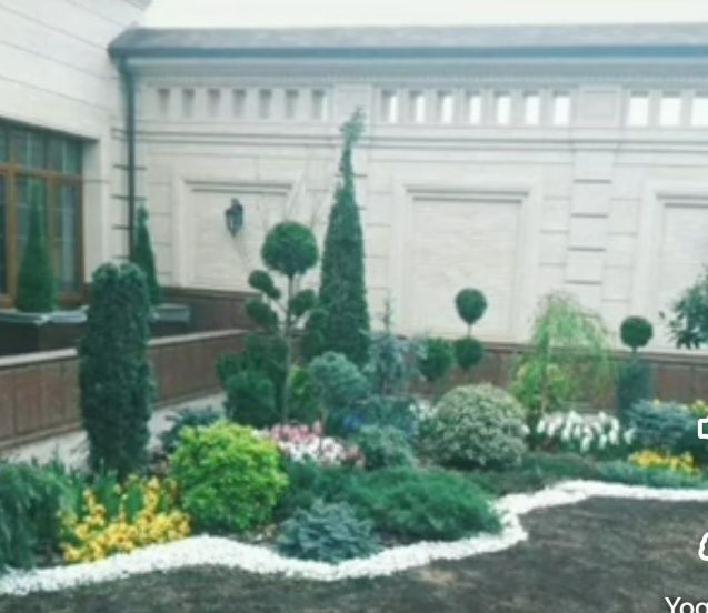 Gazonjdj. Archa ekamiz