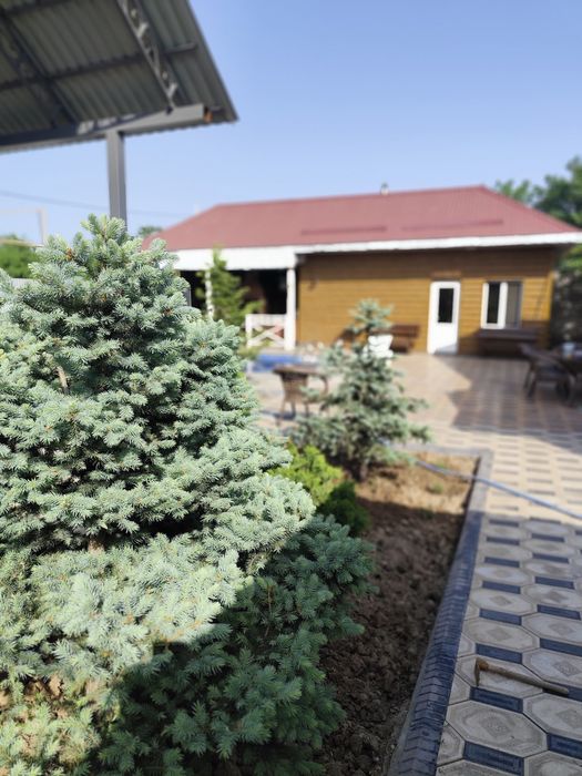 Коттедж Дача Кайнар булак