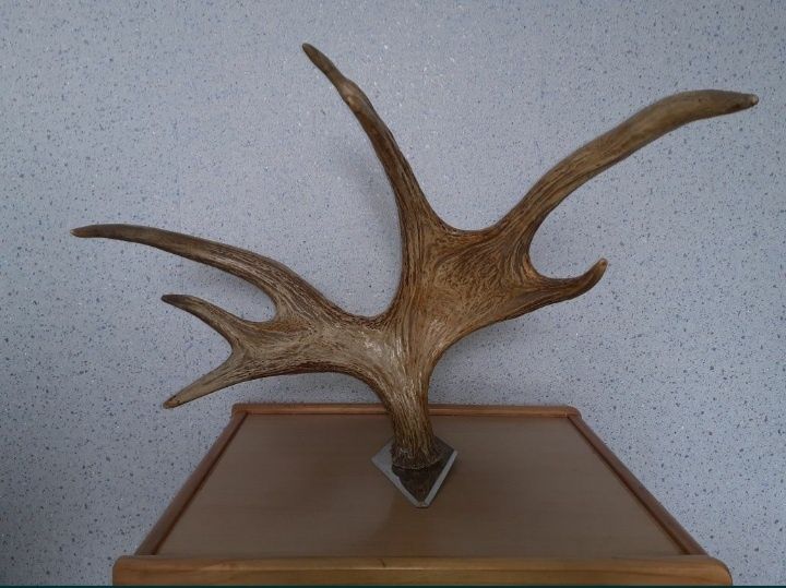 Сувенир настенный .