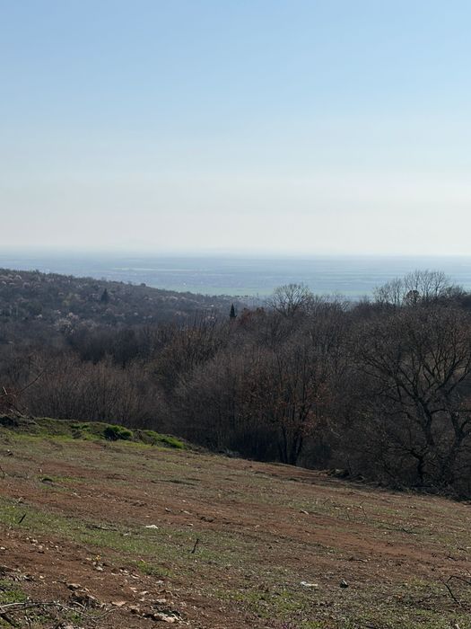 Продава се Парцел в Стара Загора, Загорка - 10300 кв.м за 0 €/кв.м - Снимка #3