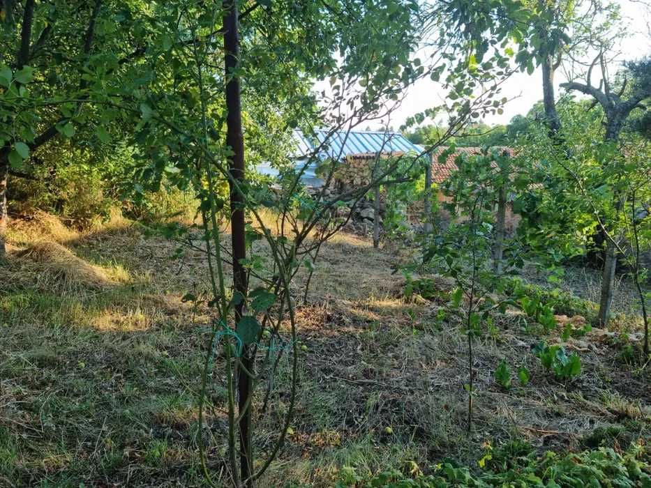 Продава се Къща в с. Розовец, Област Пловдив - 80 кв.м за 275 €/кв.м - Снимка #1