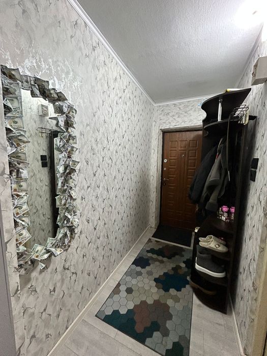 Зх комнатная Михаэлиса