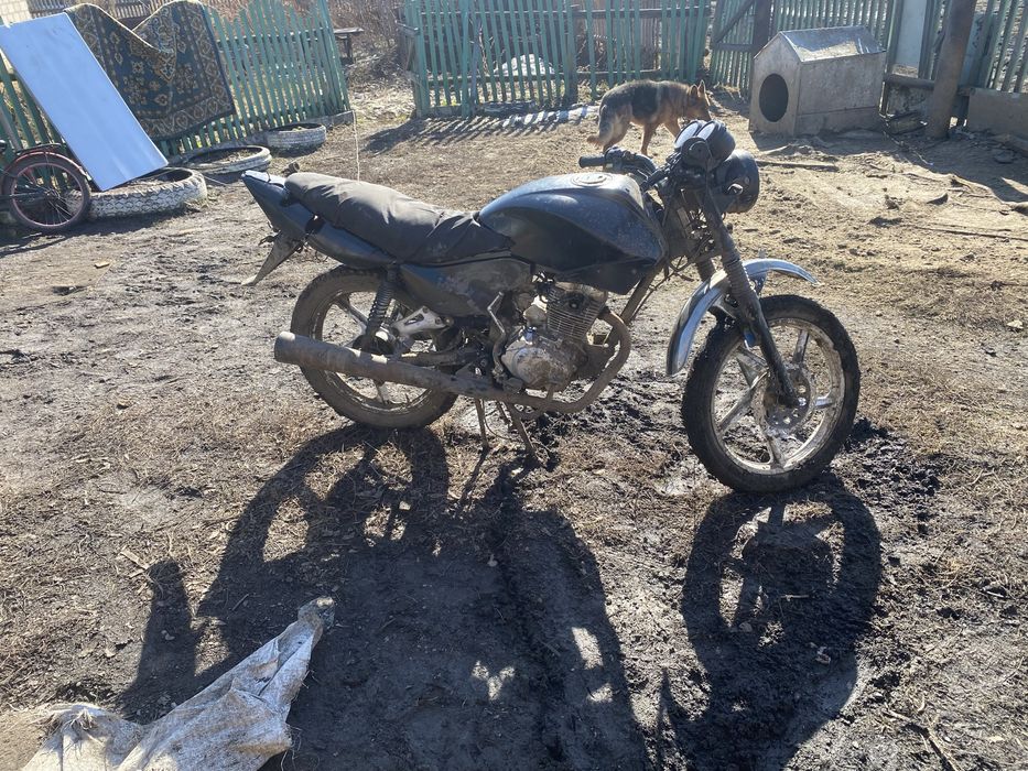 продам мотоцикл Racer Tiger