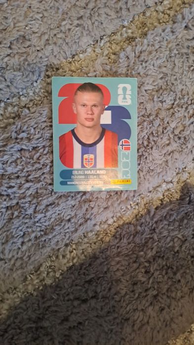 Stickere panini fotbal 2026 wc