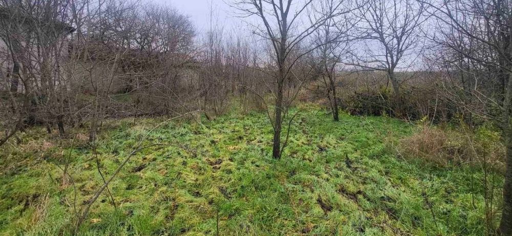 Къща с.Полковник Иваново