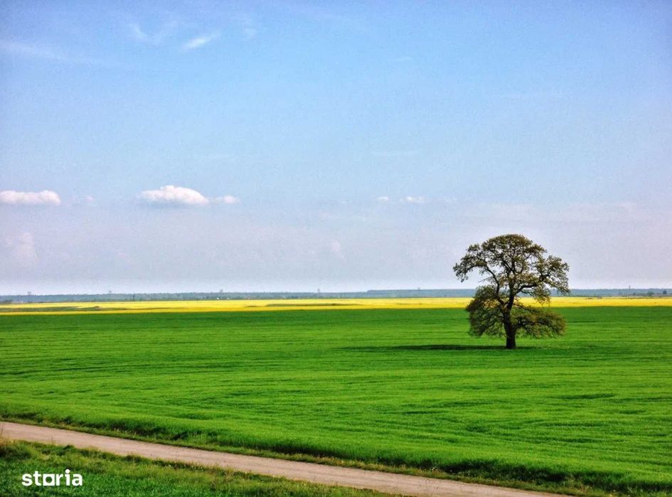 Teren UNIC P+2 mixt | Frumușani–Vasilati | Proiect dezvoltare