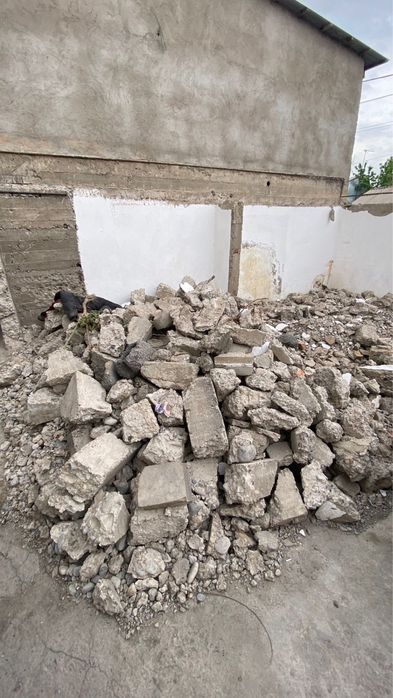 Блужник тегін келіп артып ап кетсеңдер болд