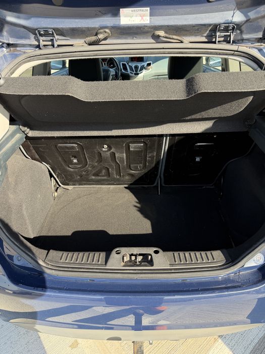 Vand Ford Fiesta