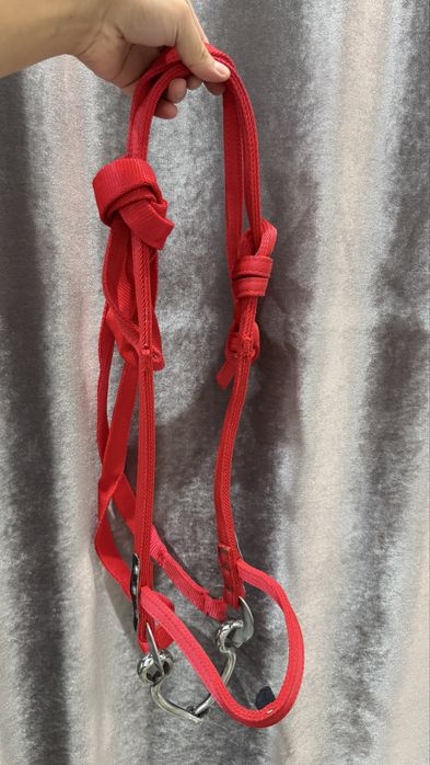 Атқа арналған жүген