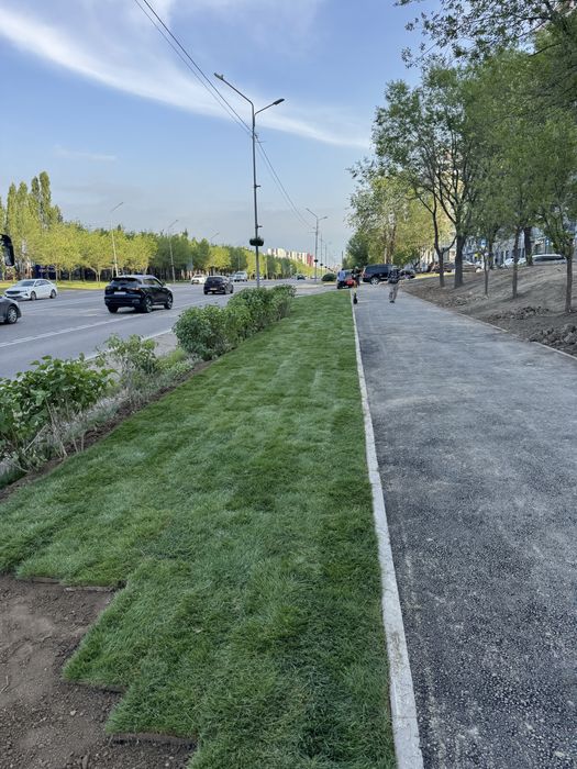 Рулонные газонн