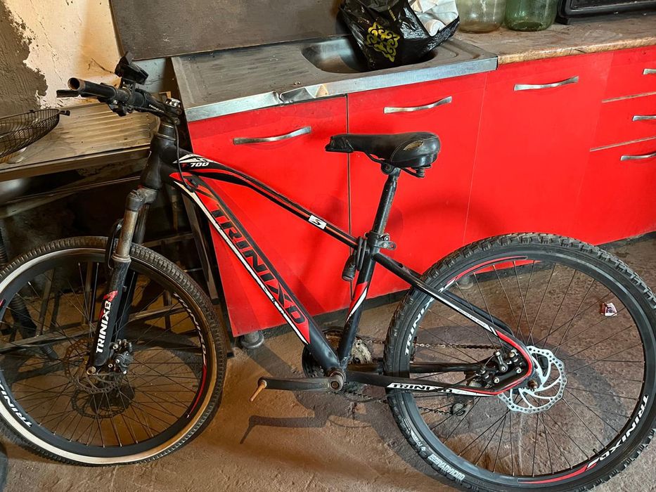 Электровелик+велик