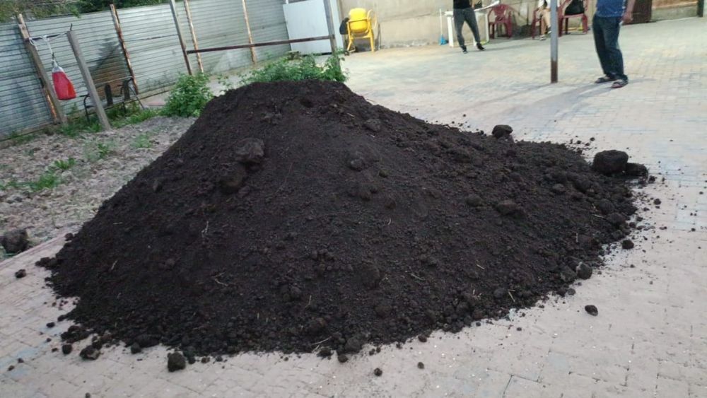 Чернозем горный ЗИЛ