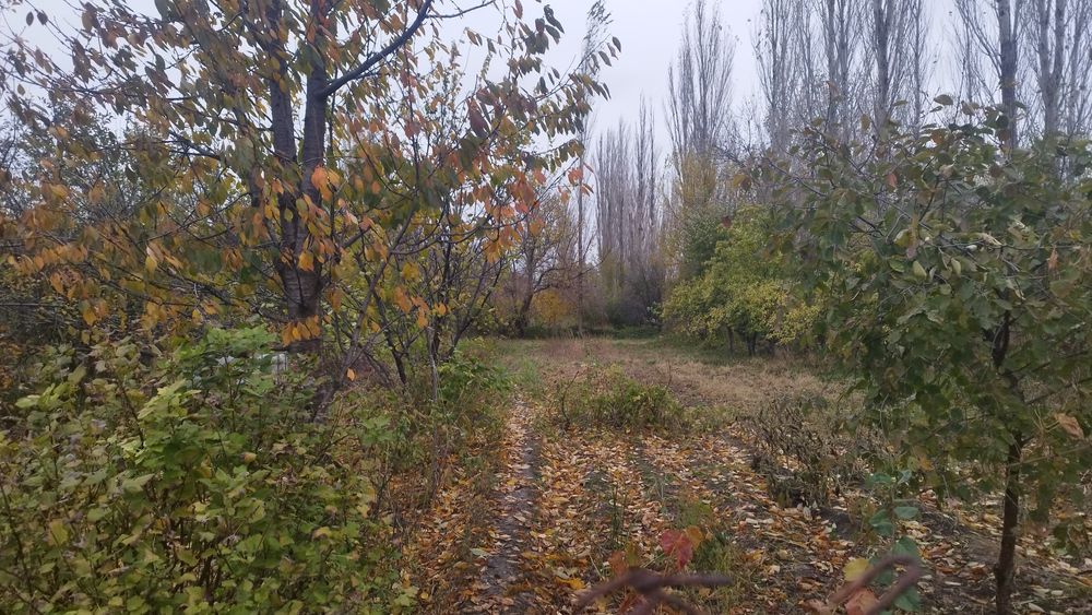 Продаётся дом в Балыкты