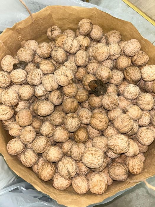 Продам грецкие орехи