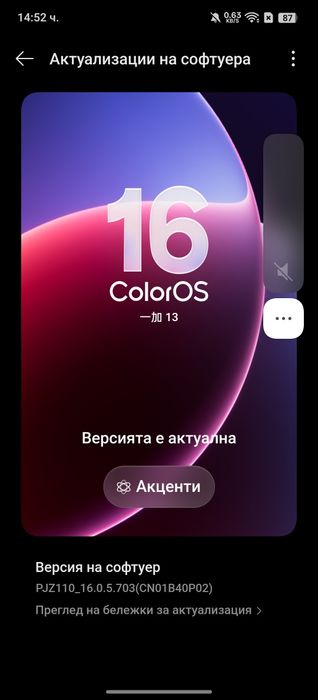 Oneplus 13 12/256gb