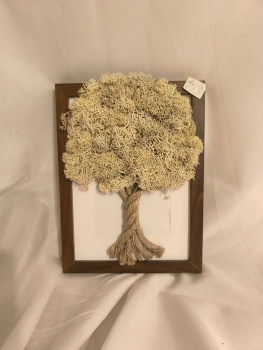 Картини от скандинавски мъх