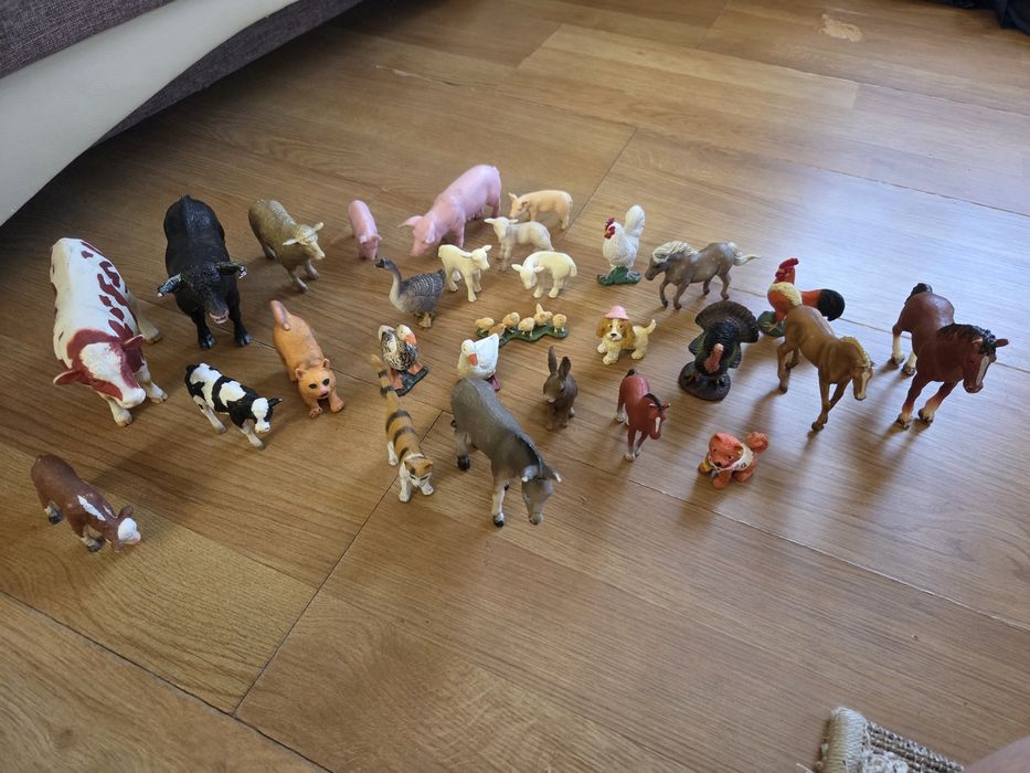 Colectie animale domestice si pasari