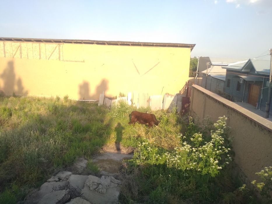 Yer sotiladi toshmi postdan 5 km kirganda