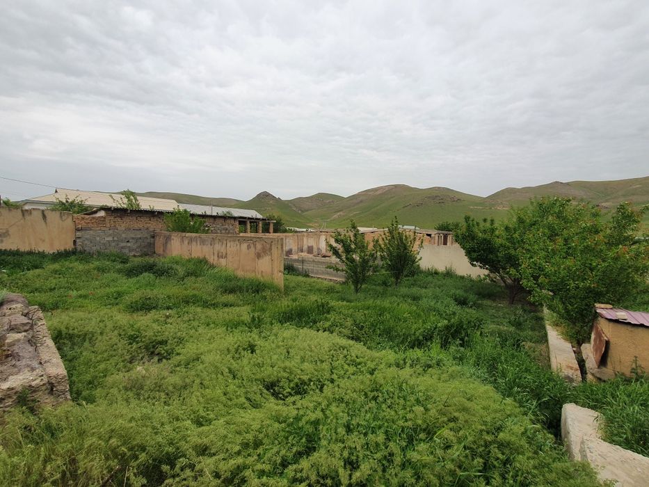 амир темур махалласида