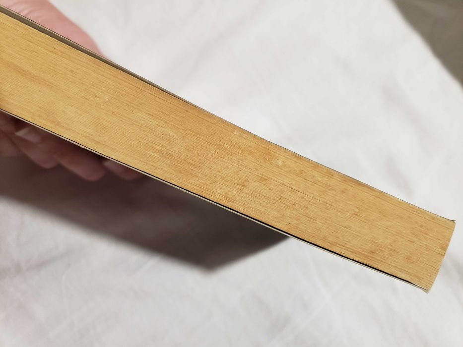 "Лятото на вещицата" от Наташа Мостърт