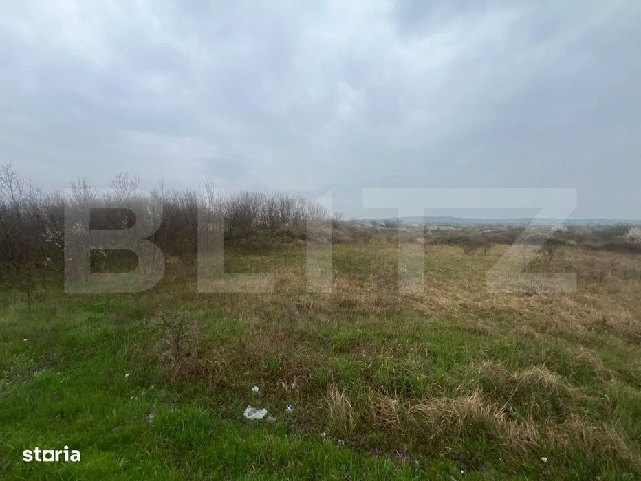 Teren industrial, 2329 mp, stradal DE, Sere Isalnita